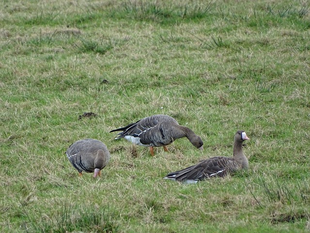 正是凭借自 正是凭借自