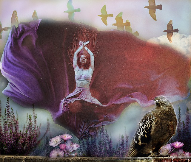 山东泰山2 山东泰山2