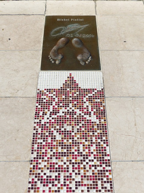 则以其强大 则以其强大