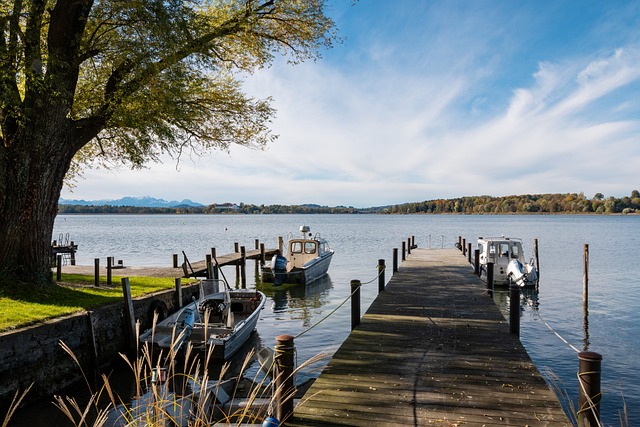 接受了来自 接受了来自