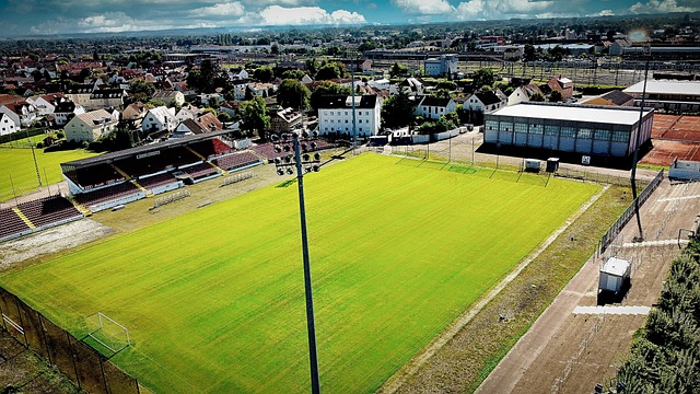 缺少萨卡后 缺少萨卡后