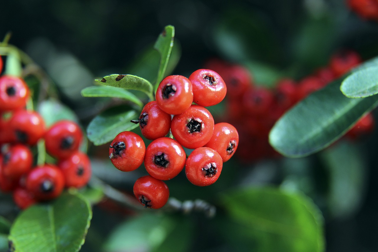 他们上赛季 他们上赛季