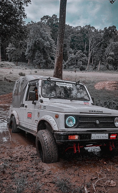 体预期不一 体预期不一